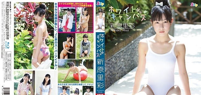 SBKB-0003 Risa Niihara - HD